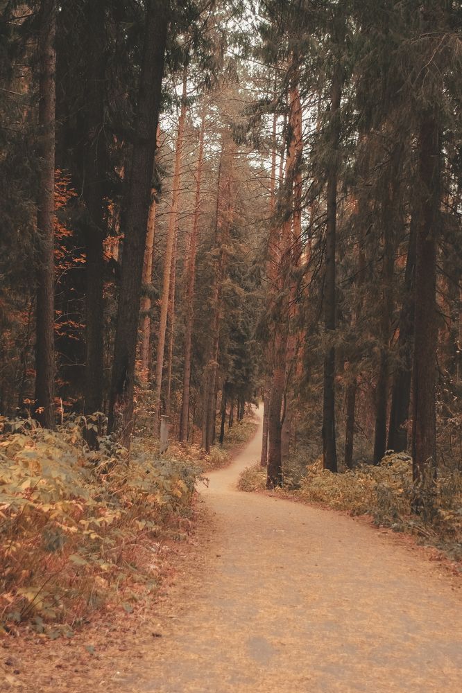 Photograph by Наталья Шаклеина