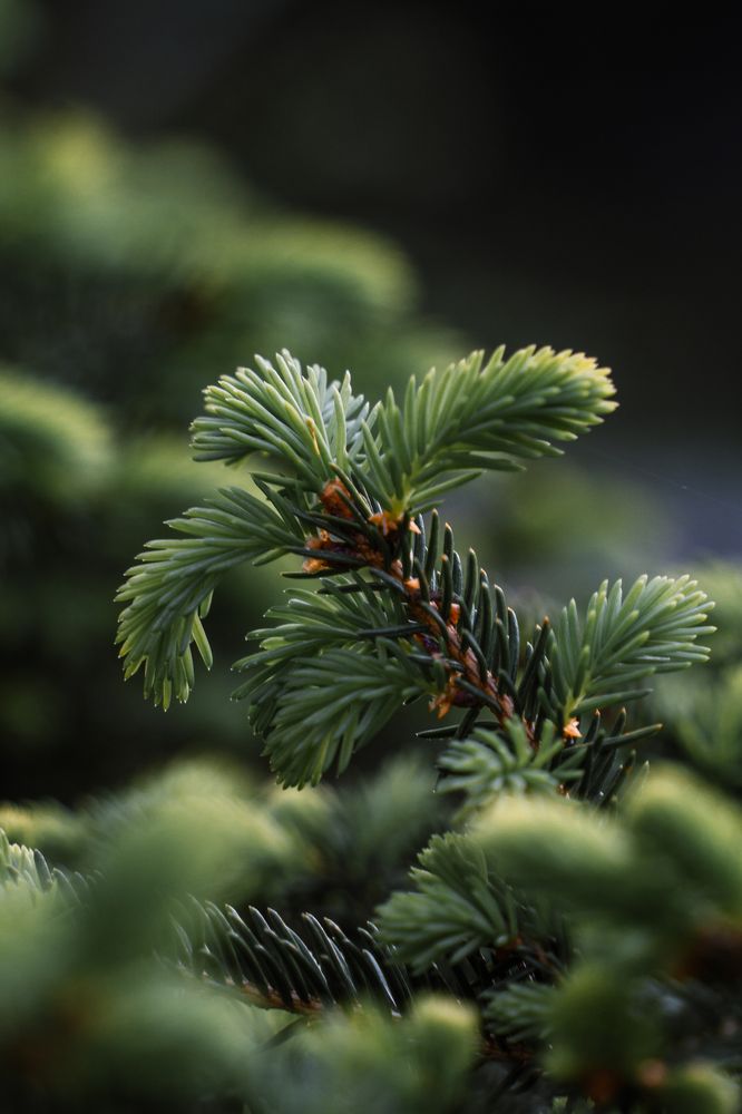 Photograph by Анастасия Лебедева