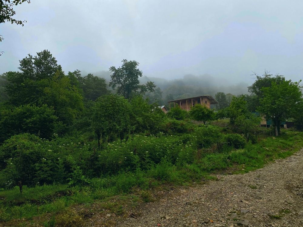 Photograph by Мьюз Ксения