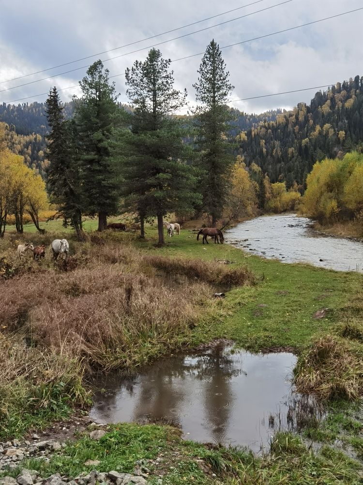 Photograph by Светлана