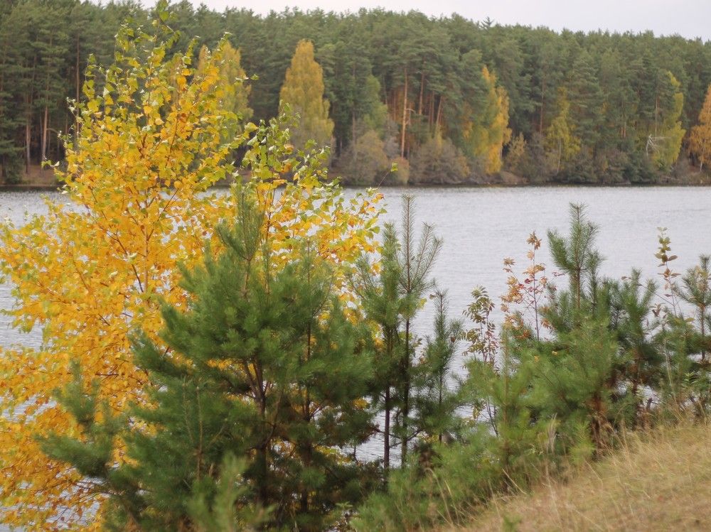 Photograph by Елена Шихалева