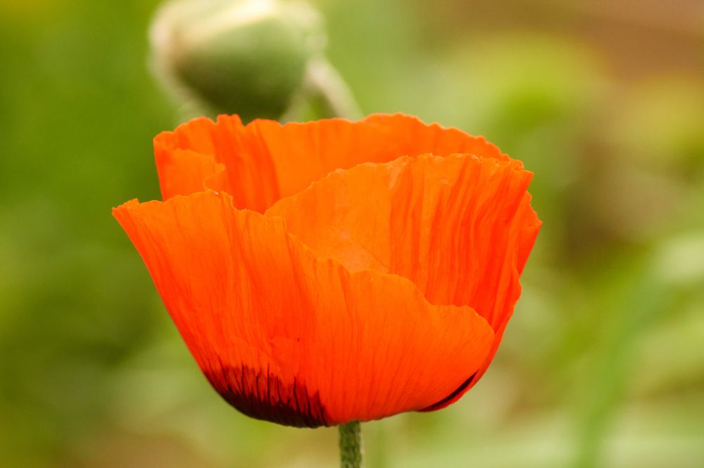 Photograph by Igor Kochkin