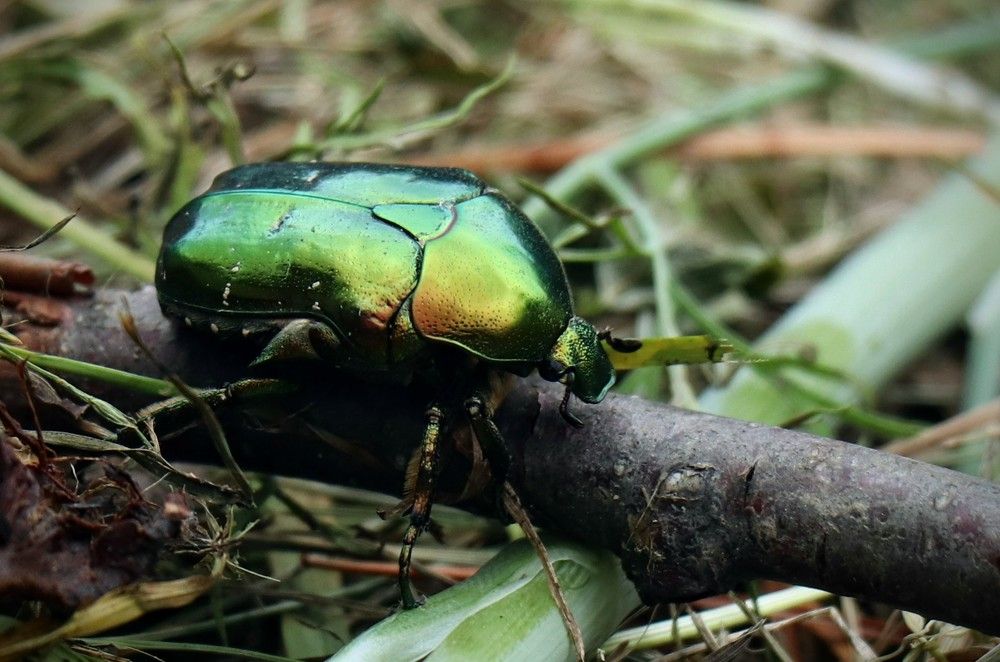 Photograph by Александра Безродная
