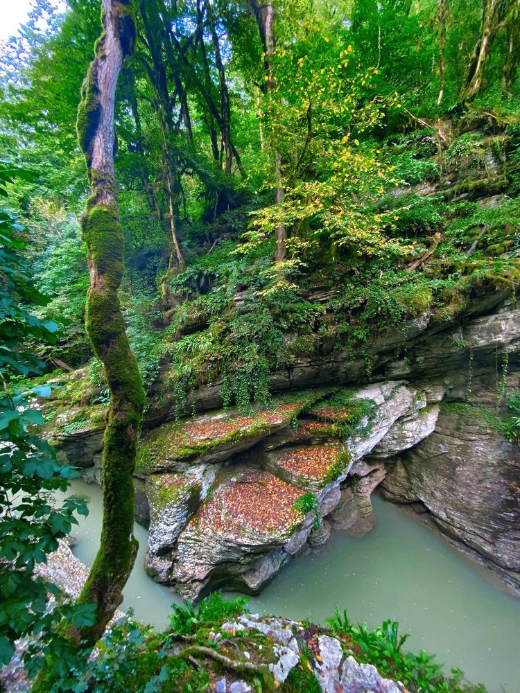 Photograph by Мьюз Ксения