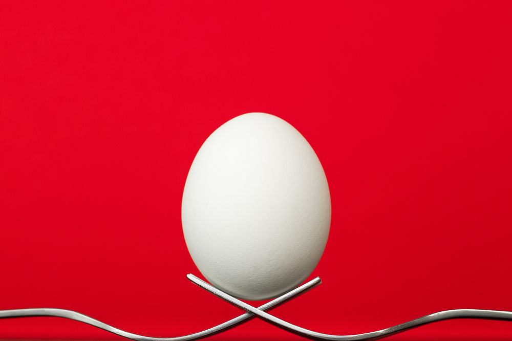 Фотография автора Елена Ельшина