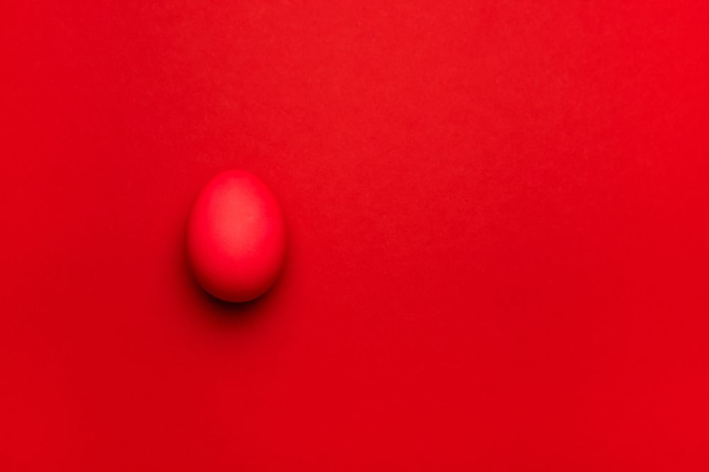 Фотография автора Елена Ельшина