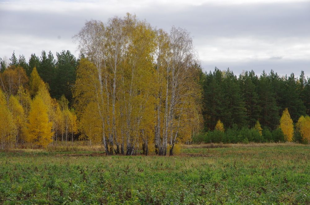 Photograph by Светлана Кудянова