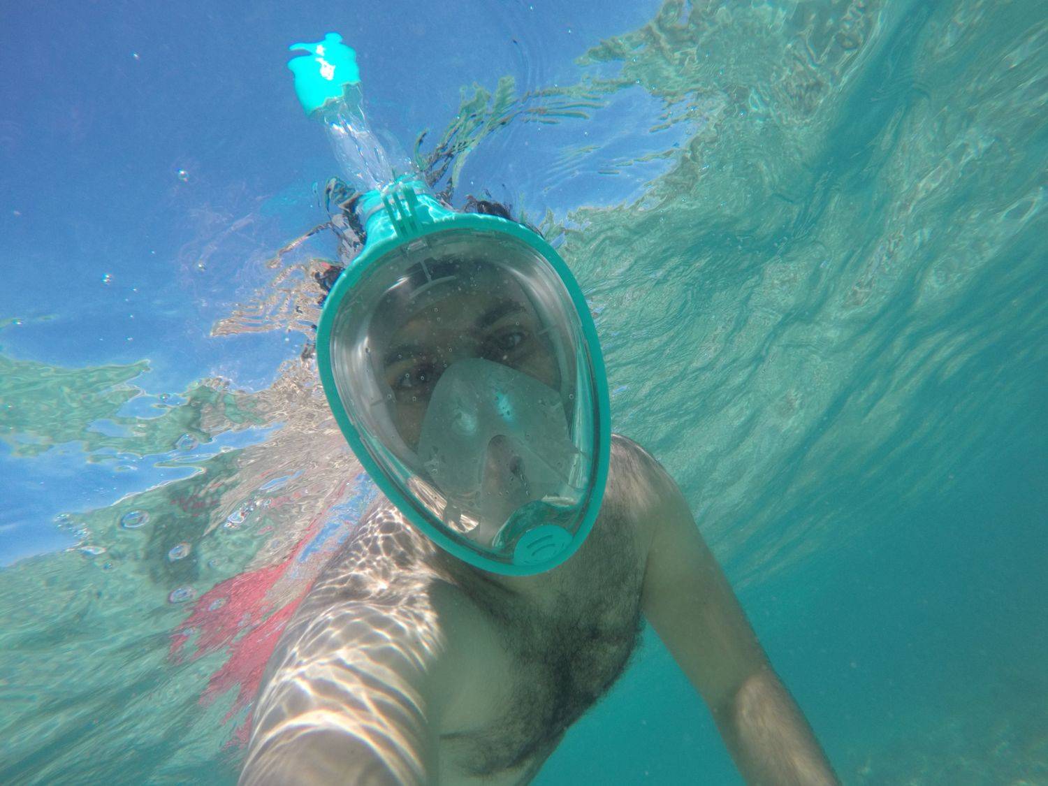 Фотография #8161772