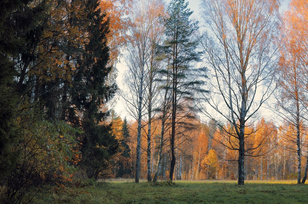 Photograph by Средин Михаил