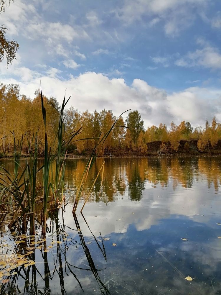 Photograph by Светлана Кудянова