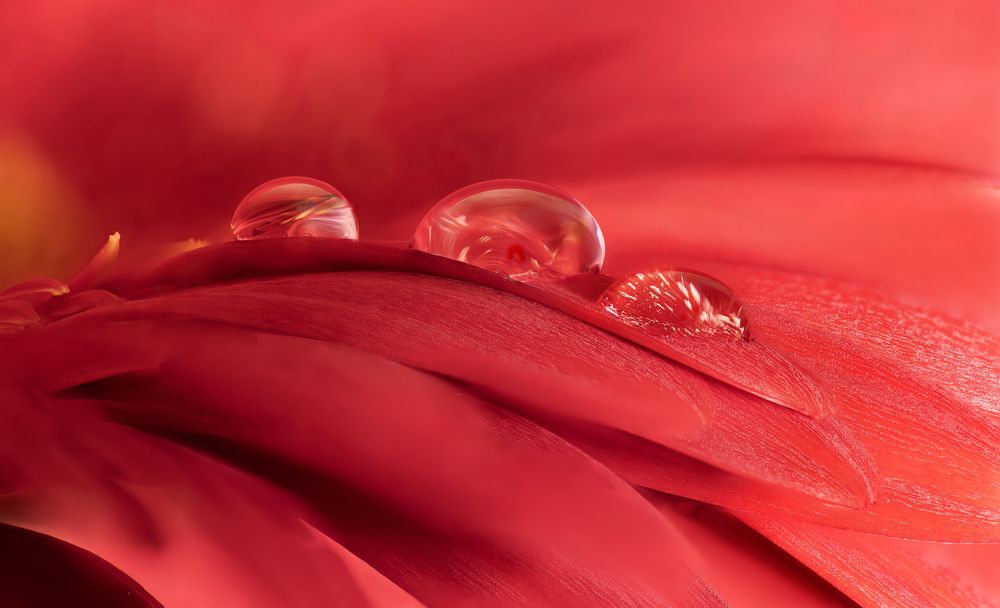 Photograph by Сергей Романченко