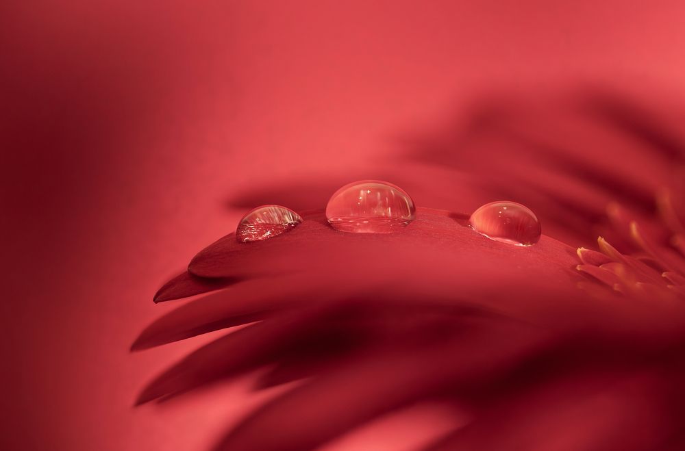 Photograph by Сергей Романченко