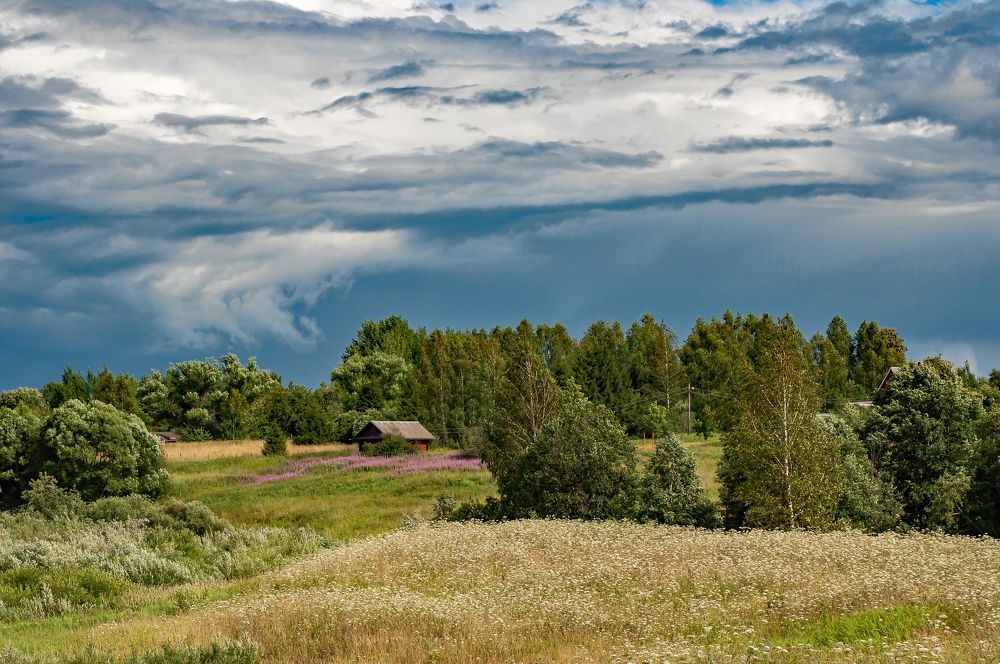 Перед грозой.