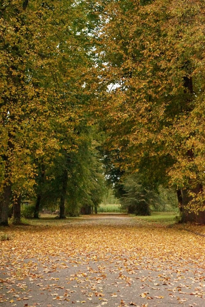 Фотография автора Наталья