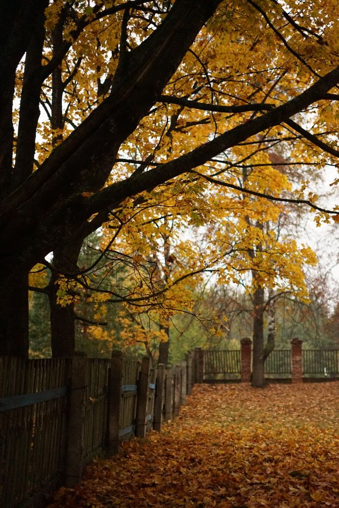 Фотография автора Наталья