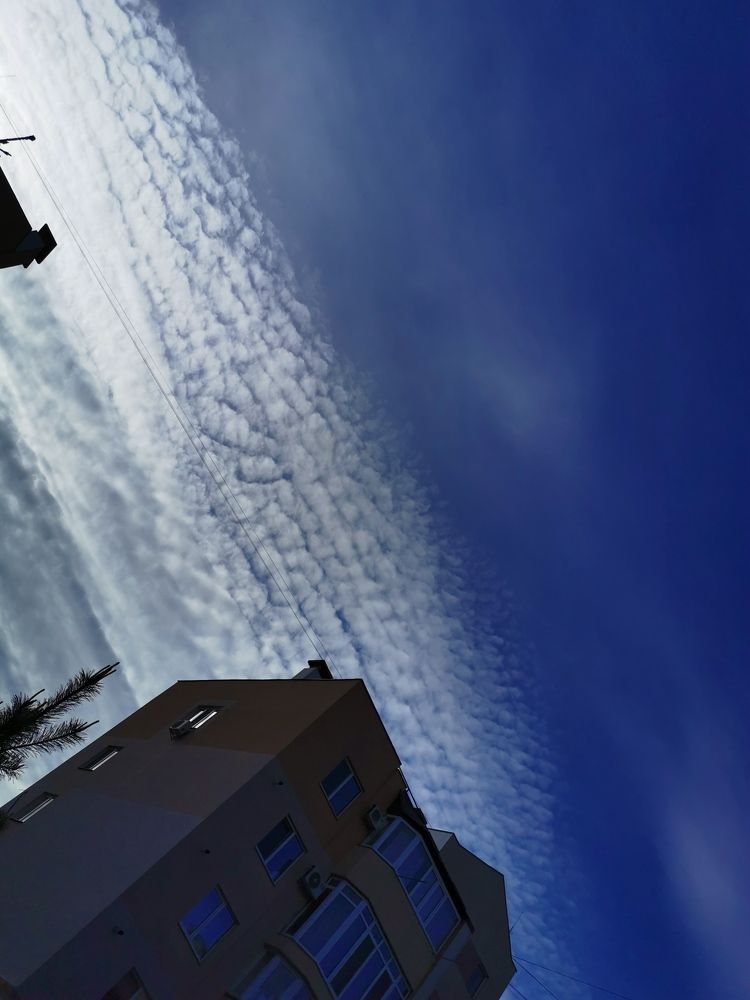 Photograph by Елена Мельник