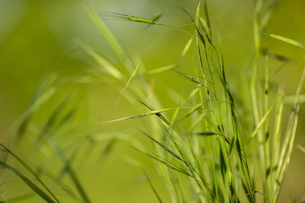 Фотография автора János Rábli