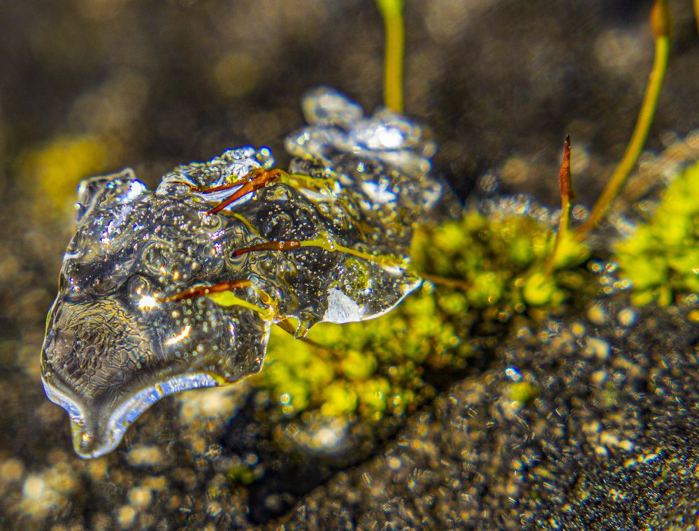 Фотография автора János Rábli