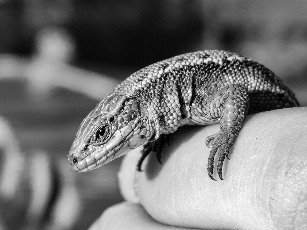 Photograph by Екатерина Слепнева