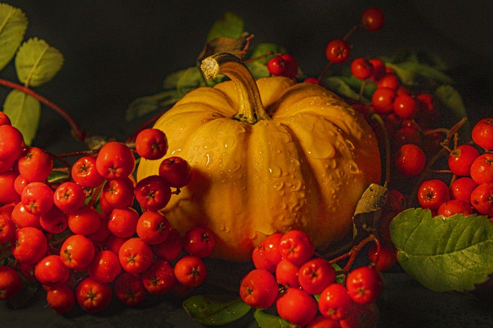 Photograph by Анна Васильева