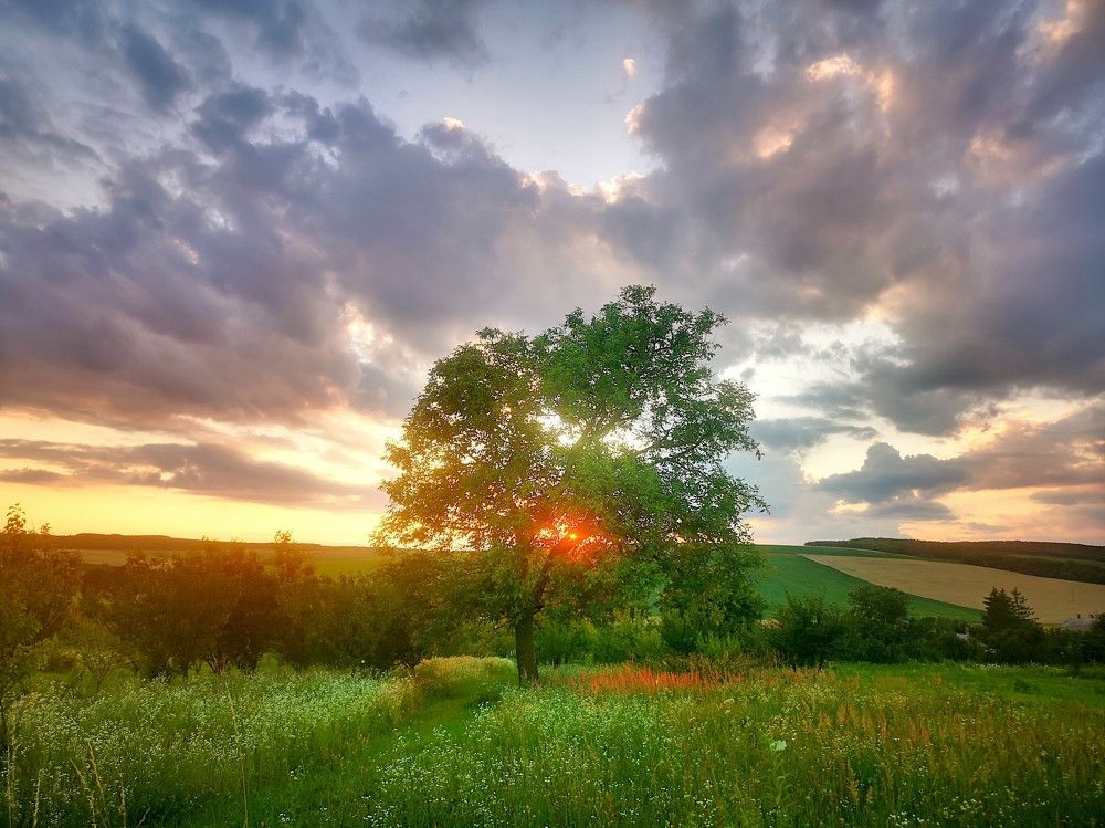 Photograph by Nikolett Mengyi