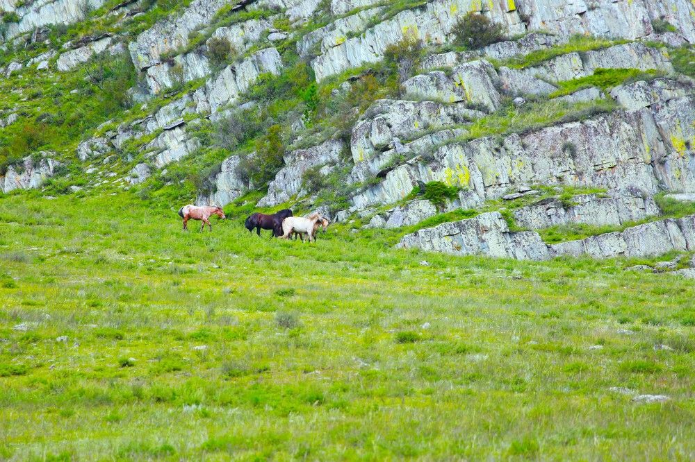 Photograph by Танзиля Завьялова