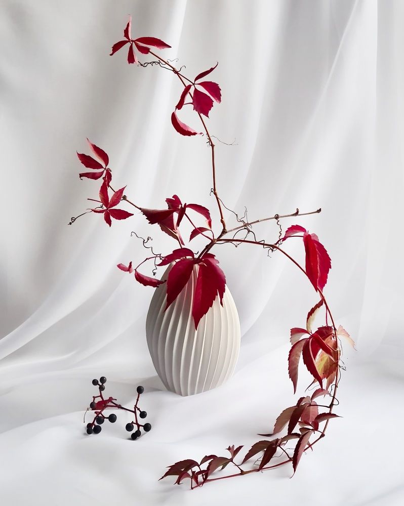 Photograph by Людмила Григорьева