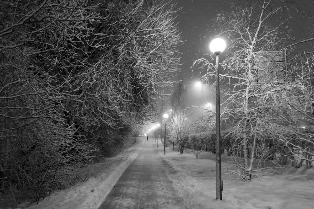 Photograph by Елена Брынько