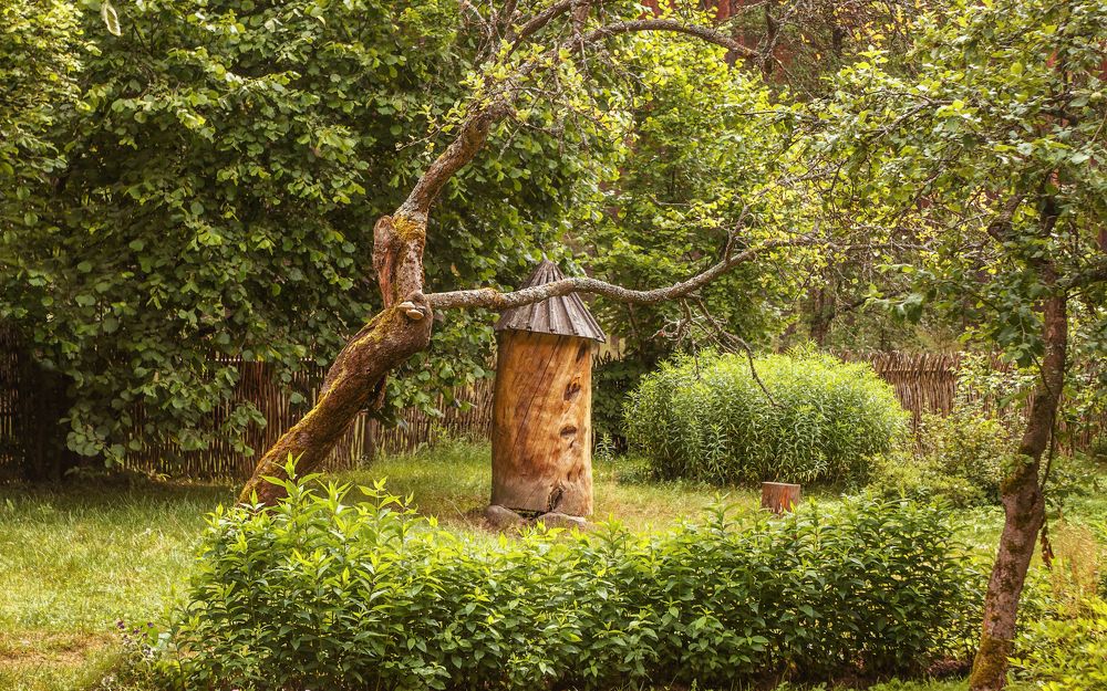 Photograph by Средин Михаил