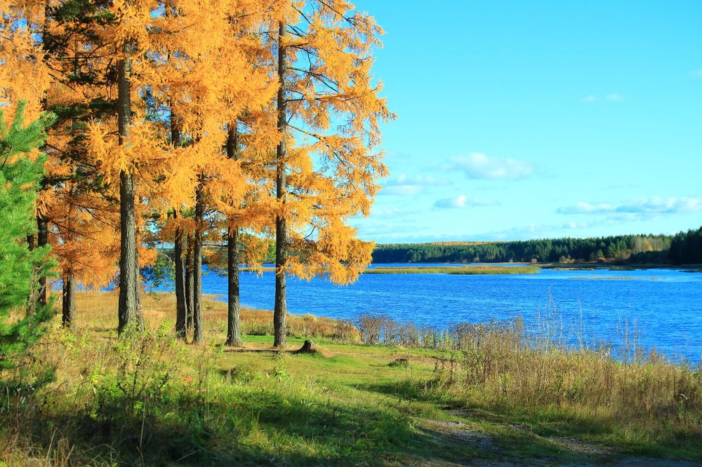 Photograph by Алексей Путилов