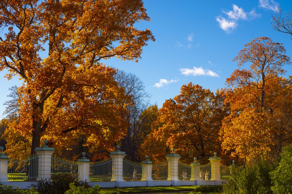 Photograph by Анна Васильева