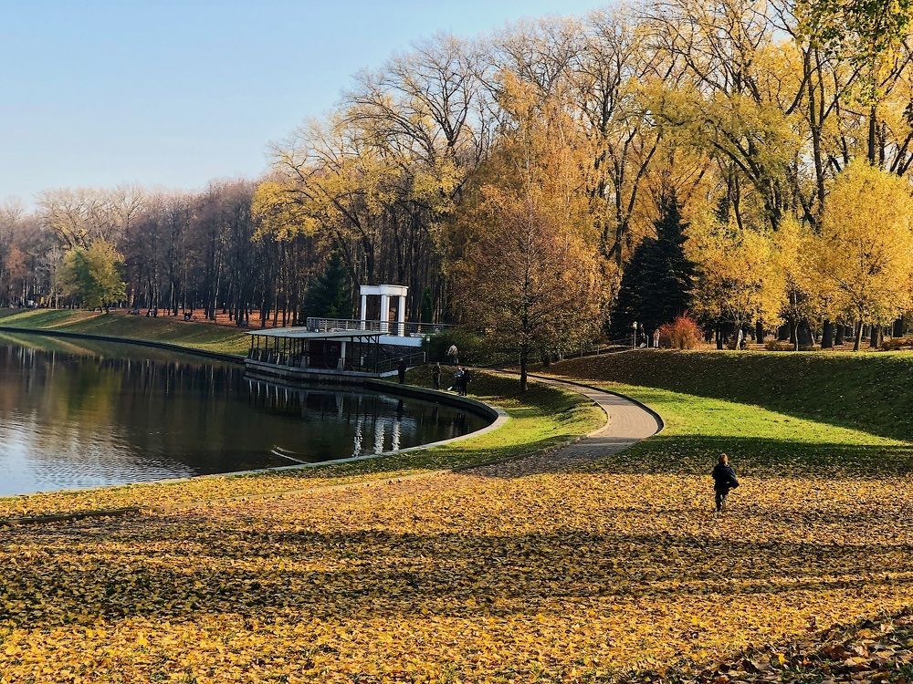 Фотография автора Olga Kichkaila