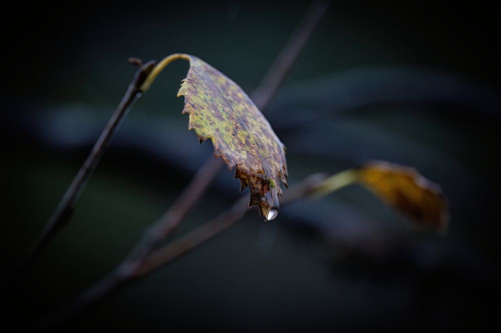 Photograph by Валентин Колинько