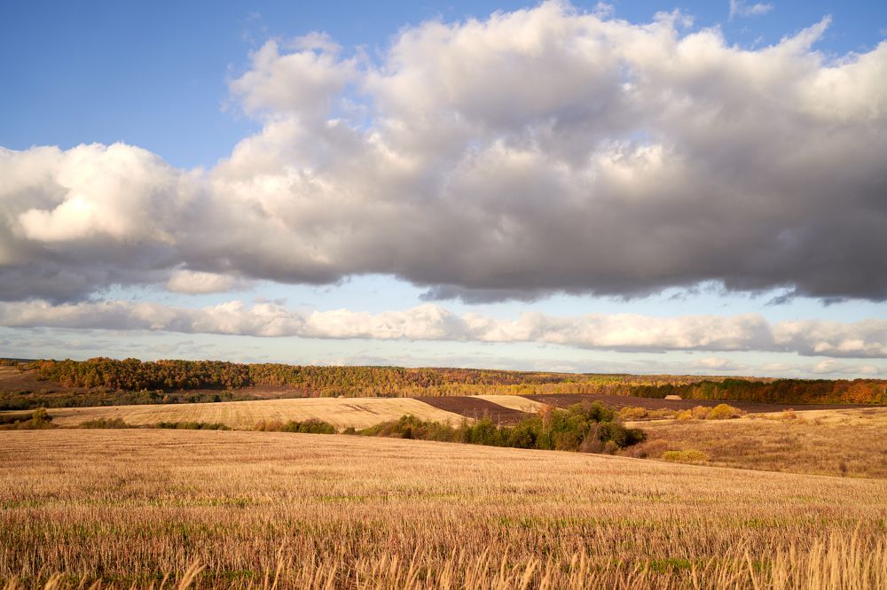 Photograph by Андрей Шишлов