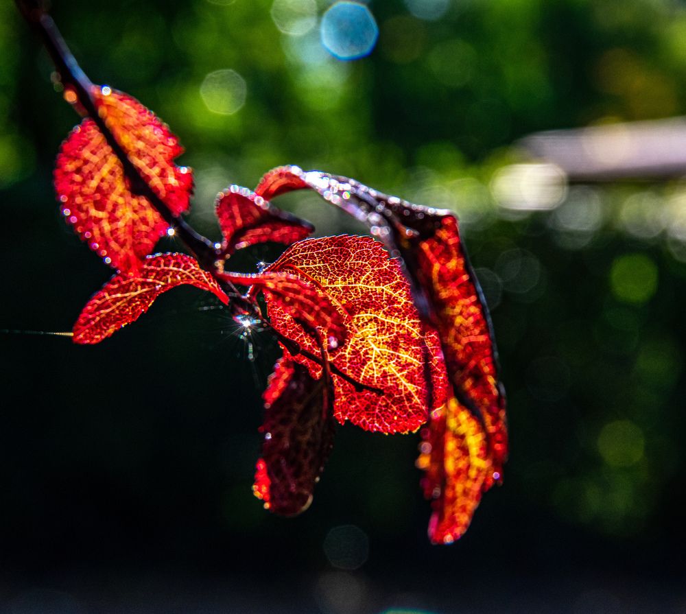 Photograph by Vitalii Kaznin
