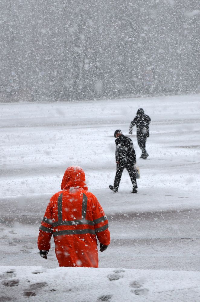 Photograph by Елена Брынько