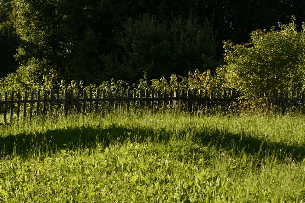 Photograph by Надежда Буаллаг