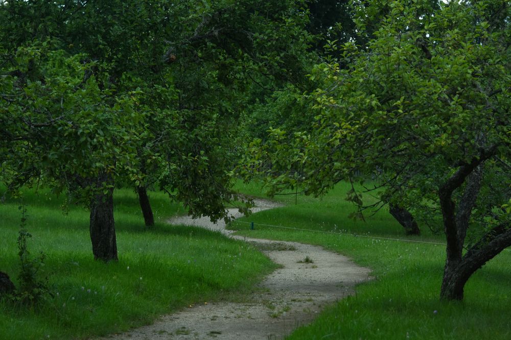 Photograph by Надежда Буаллаг