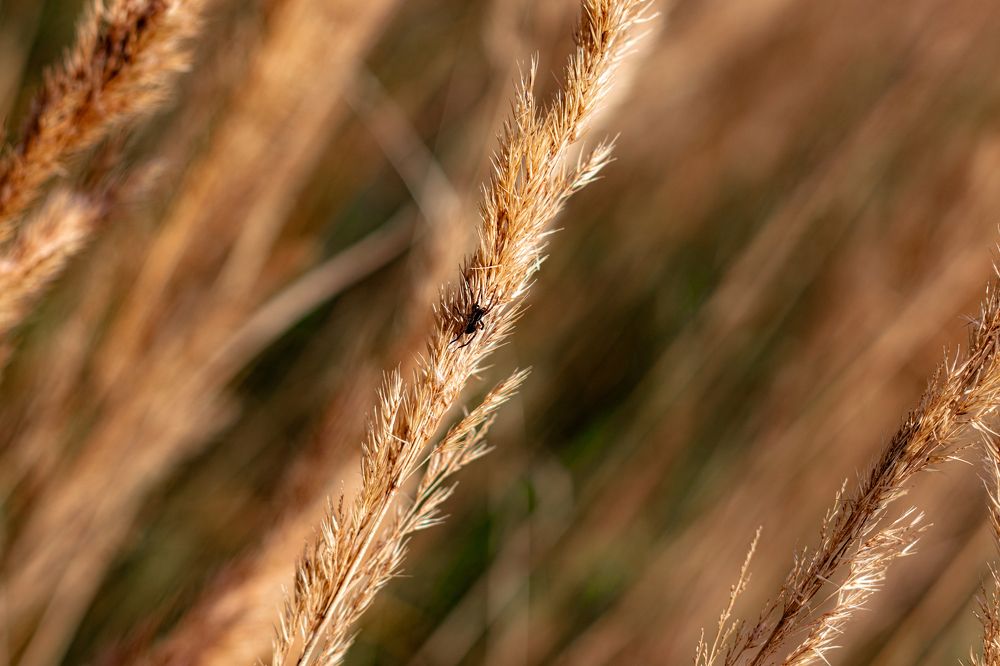 Photograph by Сергей Аникушин