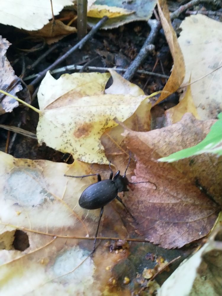 Photograph by Андрей Шишлов