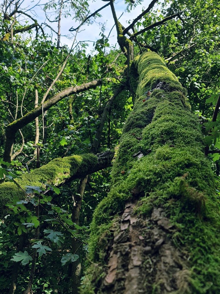 Photograph by Ксения Трошина(Лившиц)