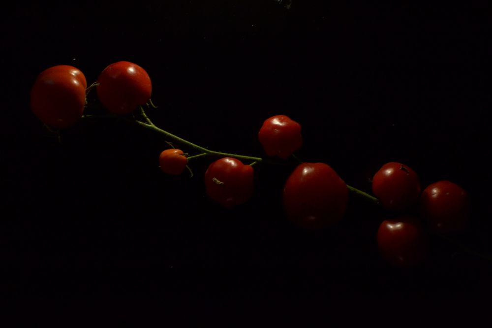 Photograph by Ksenia Paramonova