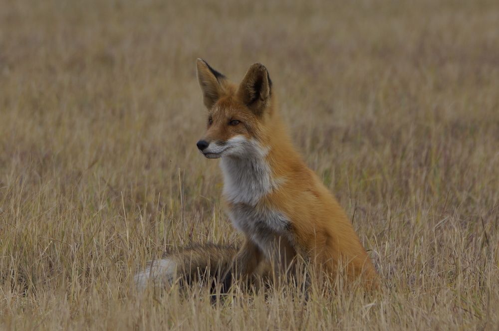 Photograph by Алексей Миронов