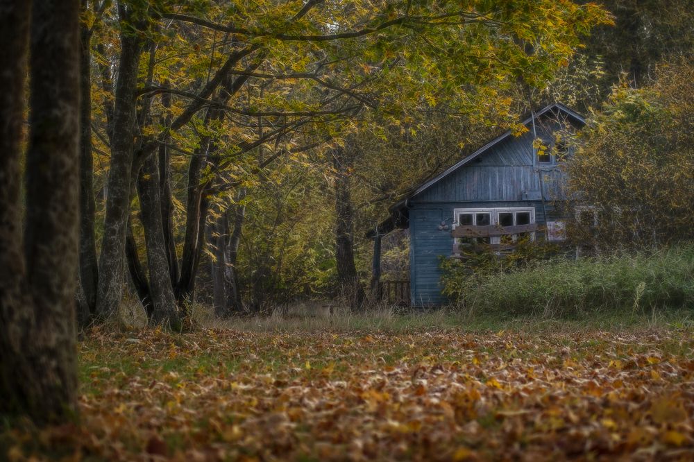 Photograph by Svoboda Andreeva