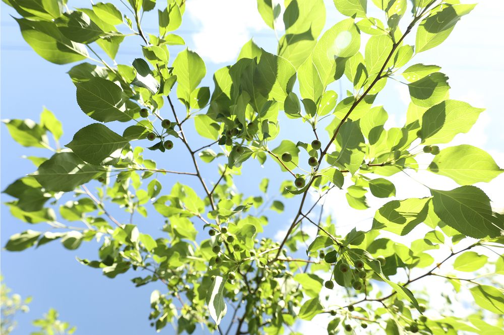 Photograph by Елена Брынько