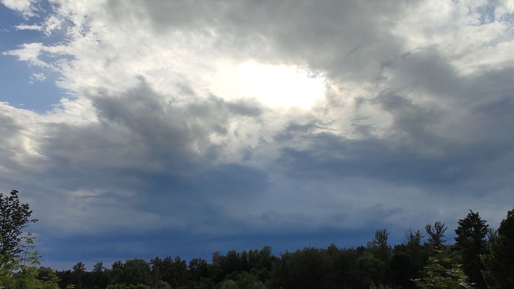 Фотография автора Кира Полотовская