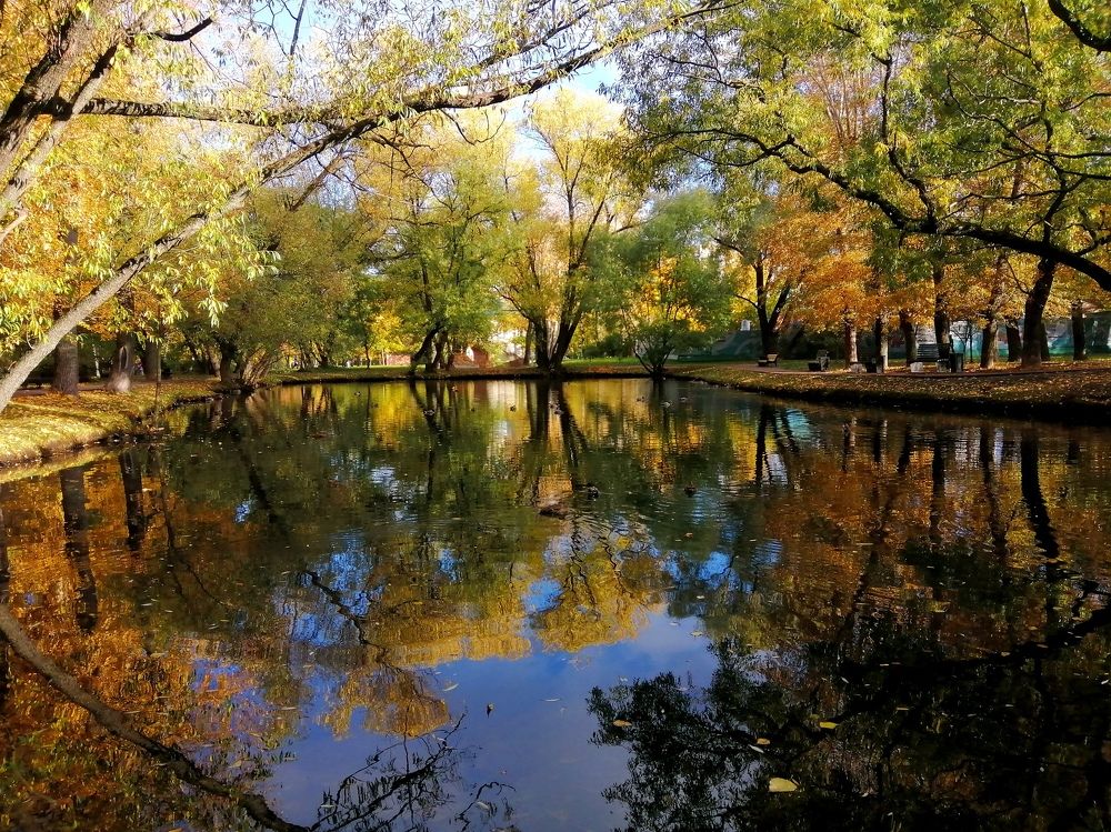 Photograph by Светлана Веселовская