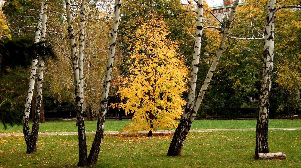 Photograph by Анастасия