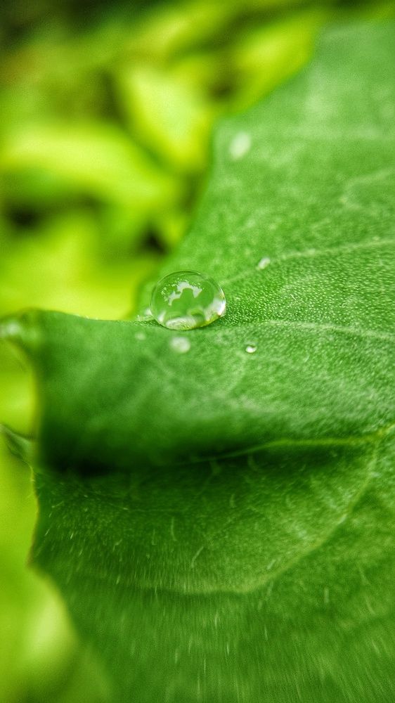 Photograph by Colmenarez nileydi