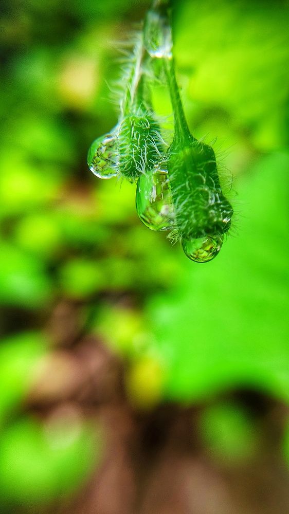 Photograph by Colmenarez nileydi